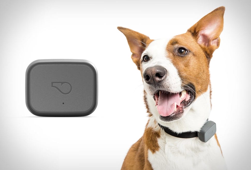 GPS Tracker For Dogs LoneStar Tracking®
